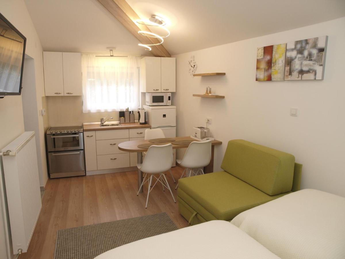 Cozy Studio Apartment Tian In זאגרב מראה חיצוני תמונה